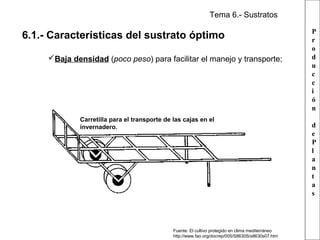 Tema 6.- Sustratos

6.1.- Características del sustrato óptimo
Baja densidad (poco peso) para facilitar el manejo y transporte;

Carretilla para el transporte de las cajas en el
invernadero.

Fuente: El cultivo protegido en clima mediterráneo
http://www.fao.org/docrep/005/S8630S/s8630s07.htm

P
r
o
d
u
c
c
i
ó
n
d
e
P
l
a
n
t
a
s

 