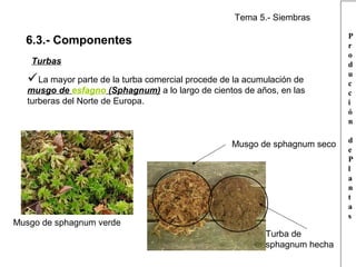 Tema 5.- Siembras

6.3.- Componentes
Turbas

La mayor parte de la turba comercial procede de la acumulación de

musgo de esfagno (Sphagnum) a lo largo de cientos de años, en las
turberas del Norte de Europa.

Musgo de sphagnum seco

Musgo de sphagnum verde
Turba de
sphagnum hecha

P
r
o
d
u
c
c
i
ó
n
d
e
P
l
a
n
t
a
s

 