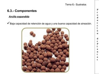 Tema 6.- Sustratos

6.3.- Componentes
Arcilla expandida

Baja capacidad de retención de agua y una buena capacidad de aireación.

P
r
o
d
u
c
c
i
ó
n
d
e
P
l
a
n
t
a
s

 