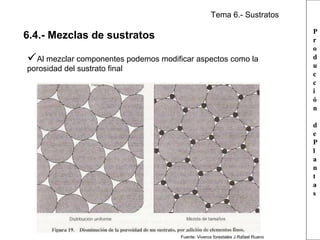 Tema 6.- Sustratos

6.4.- Mezclas de sustratos

Al mezclar componentes podemos modificar aspectos como la
porosidad del sustrato final

P
r
o
d
u
c
c
i
ó
n
d
e
P
l
a
n
t
a
s

Fuente: Viveros forestales J.Rafael Ruano

 