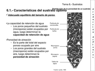 Tema 6.- Sustratos
Distribución de la porosidad de un sustrato

6.1.- Características del sustrato óptimo
Adecuado equilibrio del tamaño de poros,
-La capacidad de retención de agua
- Los poros pequeños del sustrato
(microporos) están ocupados por
agua, luego determinan la
capacidad de retención de agua

P
r
o
d
u
c
c
i
ó
n
d
e
P
l
a
n
t
a
s

-Porosidad de aireación
- Es la parte del total del espacio
poroso ocupado por aire
- Los poros grandes del sustrato
(macroporos) están ocupados por
aire, luego determinan la
porosidad de aireación

Fuente: Landis, 1990

 
