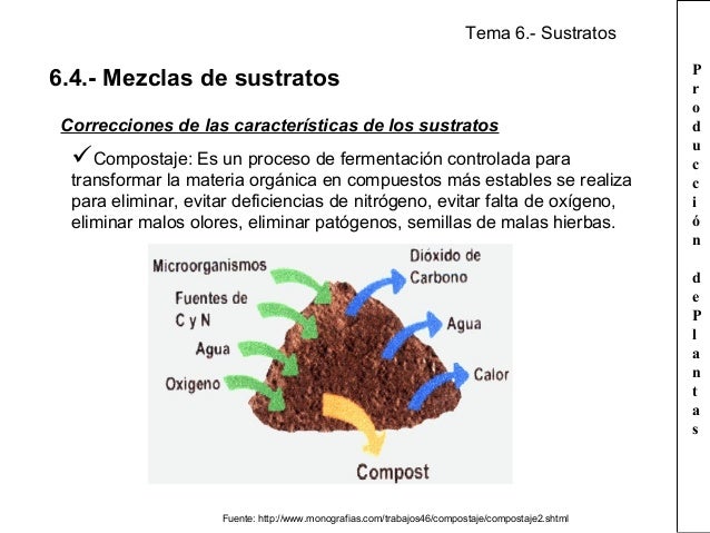 Tema 6. sustratos