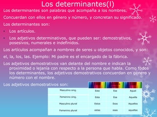 Los determinantes(l)
Los determinantes son palabras que acompaña a los nombres.
Concuerdan con ellos en género y número, y concretan su significado.
Los determinantes son:
• Los artículos.
• Los adjetivos determinativos, que pueden ser: demostrativos,
posesivos, numerales e indefinidos.
Los artículos acompañan a nombres de seres u objetos conocidos, y son:
el, la, los, las. Ejemplo: Mi padre es el encargado de la fábrica.
Los adjetivos demostrativos van delante del nombre e indican la
proximidad o lejanía con respecto a la persona que habla. Como todos
los determinantes, los adjetivos demostrativos concuerdan en género y
número con el nombre.
Los adjetivos demostrativos son: Cerca Distancia
media
Lejos
Este Ese Aquel
Esta Esa Aquella
Estos Esos Aquellos
estas esas aquellas
Masculino sing.
Femenino sing.
Masculino plural
Femenino plural
 