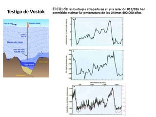 Testigo de Vostok
El CO2 de las burbujas atrapada en el y la relación 018/016 han
permitido estimar la temperatura de los últimos 400.000 años
 