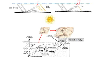 CO2 + H2O H2CO3
CO2
CO2atmósfera
 