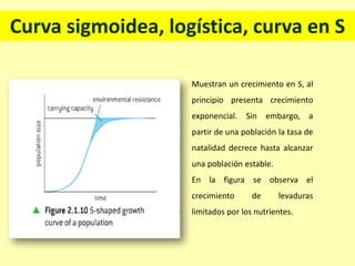 Curva sigmoidea, logística, curva en S
Muestran un crecimiento en S, al
principio presenta crecimiento
exponencial. Sin embargo, a
partir de una población la tasa de
natalidad decrece hasta alcanzar
una población estable.
En la figura se observa el
crecimiento de levaduras
limitados por los nutrientes.
 
