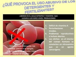 1. Metahemoglobulinemia: los
nitritos pasan a la sangre,
impidiendo a los glóbulos rojos
captar el oxígeno.
LIBERAN EN EL AGUA NITRATOS Y FOSFATOS QUE
LLEGAN A LOS SERES VIVOS PRODUCIENDO
2. Déficit de vitamina A
3. Perturbaciones del
tiroides.
4. Problemas reproductivos
e incluso abortos.
5. Los nitritos en el interior
del cuerpo humano se
convierten en nitrosamina
que es un agente
cancerígeno.
 