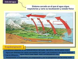Ciclo del agua
Sistema cerrado en el que el agua sigue
trayectorias y varia su localización y estado físico
Evaporación
Paso del agua de la hidrosfera a la atmósfera
Condensación
Formación de las nubes
Precipitación
Vuelta a la tierra en forma líquida o sólida
Escorrentía superficial
Desplazamiento del agua hacia cotas bajas, libre o encauzada en ríos
Agua retenida en el suelo
La cantidad depende de las características del suelo, del clima y de los seres vivos
Y de la infiltración
Escorrentía subterránea
Agua que atraviesa las capas permeables del suelo y se incorpora a las aguas freáticas
Evapotranspiración
Incorporación a la atmósfera por evaporación y por la transpiración de los seres vivos
 