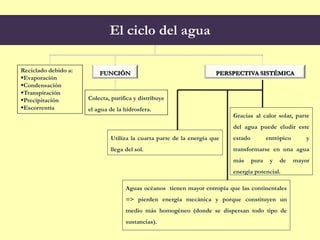 Colecta, purifica y distribuye
el agua de la hidrosfera.
Gracias al calor solar, parte
del agua puede eludir este
estado entrópico y
transformarse en una agua
más pura y de mayor
energía potencial.
Reciclado debido a:
Evaporación
Condensación
Transpiración
Precipitación
Escorrentía
El ciclo del agua
FUNCIÓN PERSPECTIVA SISTÉMICA
Utiliza la cuarta parte de la energía que
llega del sol.
Aguas océanos tienen mayor entropía que las continentales
=> pierden energía mecánica y porque constituyen un
medio más homogéneo (donde se dispersan todo tipo de
sustancias).
 