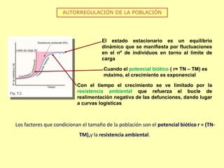 AUTORREGULACIÓN DE LA POBLACIÓN
El estado estacionario es un equilibrio
dinámico que se manifiesta por fluctuaciones
en el nº de individuos en torno al límite de
carga
Cuando el potencial biótico ( r= TN – TM) es
máximo, el crecimiento es exponencial
Con el tiempo el crecimiento se ve limitado por la
resistencia ambiental que refuerza el bucle de
realimentación negativa de las defunciones, dando lugar
a curvas logísticas
Los factores que condicionan el tamaño de la población son el potencial biótico r = (TN-
TM),y la resistencia ambiental.
 