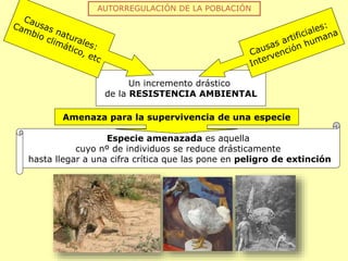 Especie amenazada es aquella
cuyo nº de individuos se reduce drásticamente
hasta llegar a una cifra crítica que las pone en peligro de extinción
AUTORREGULACIÓN DE LA POBLACIÓN
Un incremento drástico
de la RESISTENCIA AMBIENTAL
Amenaza para la supervivencia de una especie
 