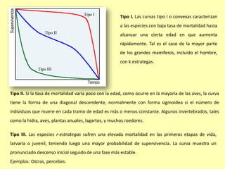 Tipo I. Las curvas tipo I o convexas caracterizan
a las especies con baja tasa de mortalidad hasta
alcanzar una cierta edad en que aumenta
rápidamente. Tal es el caso de la mayor parte
de los grandes mamíferos, incluido el hombre,
con k estrategas.
Tipo II. Si la tasa de mortalidad varía poco con la edad, como ocurre en la mayoría de las aves, la curva
tiene la forma de una diagonal descendente, normalmente con forma sigmoidea si el número de
individuos que muere en cada tramo de edad es más o menos constante. Algunos invertebrados, tales
como la hidra, aves, plantas anuales, lagartos, y muchos roedores.
Tipo III. Las especies r-estrategas sufren una elevada mortalidad en las primeras etapas de vida,
larvaria o juvenil, teniendo luego una mayor probabilidad de supervivencia. La curva muestra un
pronunciado descenso inicial seguido de una fase más estable.
Ejemplos: Ostras, percebes.
 