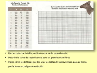  Con los datos de la tabla, realiza una curva de supervivencia.
 Describe la curva de supervivencia para los grandes mamíferos.
 Indica cómo los biólogos pueden usar las tablas de supervivencia, para gestionar
poblaciones en peligro de extinción.
 