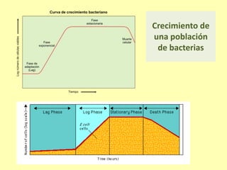 Crecimiento de
una población
de bacterias
 