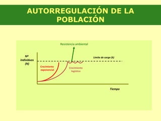 AUTORREGULACIÓN DE LA
POBLACIÓN
Tiempo
Límite de carga (k)Nº
individuos
(N)
Crecimiento
exponencial
Crecimiento
logístico
Resistencia ambiental
 