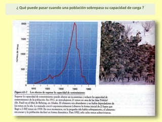 ¿ Qué puede pasar cuando una población sobrepasa su capacidad de carga ?
 