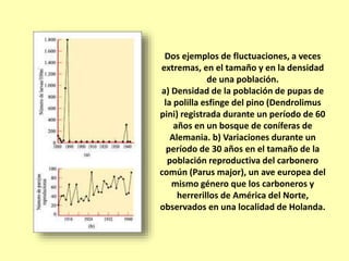 Dos ejemplos de fluctuaciones, a veces
extremas, en el tamaño y en la densidad
de una población.
a) Densidad de la población de pupas de
la polilla esfinge del pino (Dendrolimus
pini) registrada durante un período de 60
años en un bosque de coníferas de
Alemania. b) Variaciones durante un
período de 30 años en el tamaño de la
población reproductiva del carbonero
común (Parus major), un ave europea del
mismo género que los carboneros y
herrerillos de América del Norte,
observados en una localidad de Holanda.
 