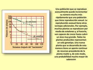 Una población que se reproduce
asexualmente puede incrementar
su número mucho más
rápidamente que una población
que tiene reproducción sexual. La
reproducción asexual tiene otras
ventajas adicionales. Por ejemplo,
muchas plantas se reproducen por
medio de estolones y, al hacerlo,
son capaces de crecer hasta cubrir
un área muy grande. Todas las
plantas producidas representan
un solo genotipo. Una nueva
planta que se desarrolla de esta
manera tiene un aporte continuo
de recursos procedente de la
planta madre y, de este modo,
una probabilidad mucho mayor de
sobrevivir
 