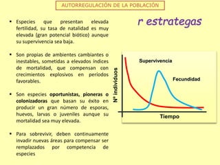 AUTORREGULACIÓN DE LA POBLACIÓN
r estrategas Especies que presentan elevada
fertilidad, su tasa de natalidad es muy
elevada (gran potencial biótico) aunque
su supervivencia sea baja.
 Son propias de ambientes cambiantes o
inestables, sometidas a elevados índices
de mortalidad, que compensan con
crecimientos explosivos en períodos
favorables.
 Son especies oportunistas, pioneras o
colonizadoras que basan su éxito en
producir un gran número de esporas,
huevos, larvas o juveniles aunque su
mortalidad sea muy elevada.
 Para sobrevivir, deben continuamente
invadir nuevas áreas para compensar ser
remplazados por competencia de
especies
Nºindividuos Tiempo
Supervivencia
Fecundidad
 