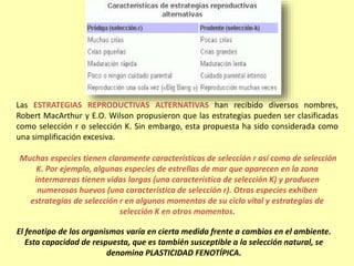 Las ESTRATEGIAS REPRODUCTIVAS ALTERNATIVAS han recibido diversos nombres,
Robert MacArthur y E.O. Wilson propusieron que las estrategias pueden ser clasificadas
como selección r o selección K. Sin embargo, esta propuesta ha sido considerada como
una simplificación excesiva.
Muchas especies tienen claramente características de selección r así como de selección
K. Por ejemplo, algunas especies de estrellas de mar que aparecen en la zona
intermareas tienen vidas largas (una característica de selección K) y producen
numerosos huevos (una característica de selección r). Otras especies exhiben
estrategias de selección r en algunos momentos de su ciclo vital y estrategias de
selección K en otros momentos.
El fenotipo de los organismos varía en cierta medida frente a cambios en el ambiente.
Esta capacidad de respuesta, que es también susceptible a la selección natural, se
denomina PLASTICIDAD FENOTÍPICA.
 