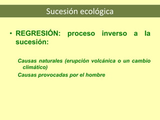 Sucesión ecológica
• REGRESIÓN: proceso inverso a la
sucesión:
Causas naturales (erupción volcánica o un cambio
climático)
Causas provocadas por el hombre
 