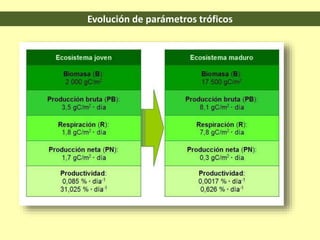 Evolución de parámetros tróficos
 