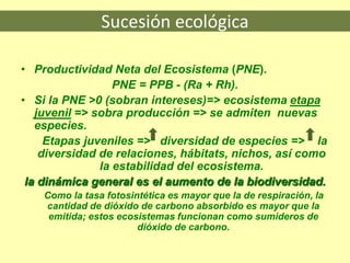 Sucesión ecológica
• Productividad Neta del Ecosistema (PNE).
PNE = PPB - (Ra + Rh).
• Si la PNE >0 (sobran intereses)=> ecosistema etapa
juvenil => sobra producción => se admiten nuevas
especies.
Etapas juveniles => diversidad de especies => la
diversidad de relaciones, hábitats, nichos, así como
la estabilidad del ecosistema.
la dinámica general es el aumento de la biodiversidad.
Como la tasa fotosintética es mayor que la de respiración, la
cantidad de dióxido de carbono absorbido es mayor que la
emitida; estos ecosistemas funcionan como sumideros de
dióxido de carbono.
 