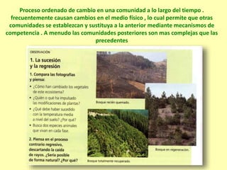 Proceso ordenado de cambio en una comunidad a lo largo del tiempo .
frecuentemente causan cambios en el medio físico , lo cual permite que otras
comunidades se establezcan y sustituya a la anterior mediante mecanismos de
competencia . A menudo las comunidades posteriores son mas complejas que las
precedentes
 