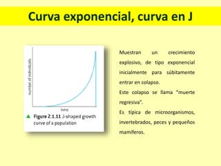 Curva exponencial, curva en J
Muestran un crecimiento
explosivo, de tipo exponencial
inicialmente para súbitamente
entrar en colapso.
Este colapso se llama “muerte
regresiva”.
Es típica de microorganismos,
invertebrados, peces y pequeños
mamíferos.
 