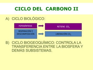 A) CICLO BIOLÓGICO:
B) CICLO BIOGEOQUÍMICO: CONTROLA LA
TRANSFERENCIA ENTRE LA BIOSFERA Y
DEMÁS SUBSISTEMAS.
CICLO DEL CARBONO II
FOTOSÍNTESIS RETIENE CO2
RESPIRACIÓN Y
DESCOMPOSICIÓN LIBERACIÓN CO2
 