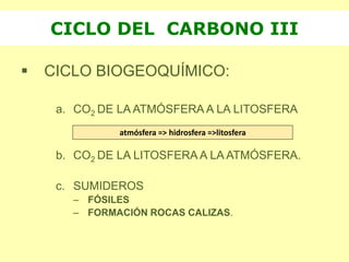  CICLO BIOGEOQUÍMICO:
a. CO2 DE LA ATMÓSFERA A LA LITOSFERA
b. CO2 DE LA LITOSFERA A LA ATMÓSFERA.
c. SUMIDEROS
– FÓSILES
– FORMACIÓN ROCAS CALIZAS.
CICLO DEL CARBONO III
atmósfera => hidrosfera =>litosfera
 