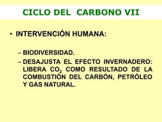 • INTERVENCIÓN HUMANA:
– BIODIVERSIDAD.
– DESAJUSTA EL EFECTO INVERNADERO:
LIBERA CO2 COMO RESULTADO DE LA
COMBUSTIÓN DEL CARBÓN, PETRÓLEO
Y GAS NATURAL.
CICLO DEL CARBONO VII
 