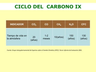 CICLO DEL CARBONO IX
INDICADOR CO2 CO CH4 N2O CFC
Tiempo de vida en
la atmósfera
20
(años)
1-2
meses
10(años)
150
(años)
130
(años)
Fuente: Grupo intergubernamental de Expertos sobre el Cambio Climático (IPCC): Tercer Informe de Evaluación 2001.
 