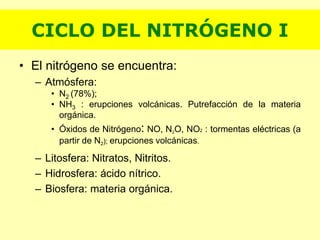 • El nitrógeno se encuentra:
– Atmósfera:
• N2 (78%);
• NH3 : erupciones volcánicas. Putrefacción de la materia
orgánica.
• Óxidos de Nitrógeno: NO, N2O, NO2 : tormentas eléctricas (a
partir de N2); erupciones volcánicas.
– Litosfera: Nitratos, Nitritos.
– Hidrosfera: ácido nítrico.
– Biosfera: materia orgánica.
CICLO DEL NITRÓGENO I
 