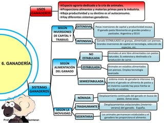 USOS
GANADEROS
→Espacio agrario dedicado a la cría de animales.
→Proporciona alimentos y materias primas para la industria.
→Baja productividad y su destino es el autoconsumo.
→Hay diferentes sistemas ganaderos.
SISTEMAS
GANADEROS
SEGÚN
INVERSIONES
DE CAPITAL Y
TRABAJO.
EXTENSIVA Pocas inversiones de capital y productividad escasa.
El ganado pasta libremente en grandes prados y
pastizales. Argentina y EEUU
INTENSIVA Ganado ESTABULADO en granjas, alimentado con piensos.
Grandes inversiones de capital en tecnología, selección de
especies, etc.
SEGÚN
ALIMENTACIÓN
DEL GANADO
NO
ESTABULADA
Animales al aire libre alimentados con pastos
naturales. Es extensiva y destinada a la
producción de carne.
ESTABULADA Animales en establos alimentados
con piensos. Emplea tecnología
avanzada.
SEMIESTABULADA
sistema mixto de ganadería intensiva. En
verano el ganado se alimenta de pastos y
en invierno cuando hay poca hierba se
guarda en establos.
SEGÚN LA
MOVILIDAD.
NÓMADA
Desplazamiento continuado del ganado en busca de
pastos. Zonas secas.
TRASHUMANTE
Desplazamientos estacionales (invierno-
verano) del ganado. España.
SEDENTARIA
Los animales permanecen estabulados y el
ganadero les proporciona el alimento.
6. GANADERÍA.
Prof. Andrés Pintor Quintanar.
 