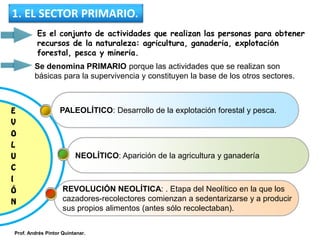 Se denomina PRIMARIO porque las actividades que se realizan son
básicas para la supervivencia y constituyen la base de los otros sectores.
PALEOLÍTICO: Desarrollo de la explotación forestal y pesca.
NEOLÍTICO: Aparición de la agricultura y ganadería
REVOLUCIÓN NEOLÍTICA: . Etapa del Neolítico en la que los
cazadores-recolectores comienzan a sedentarizarse y a producir
sus propios alimentos (antes sólo recolectaban).
1. EL SECTOR PRIMARIO.
Prof. Andrés Pintor Quintanar.
Es el conjunto de actividades que realizan las personas para obtener
recursos de la naturaleza: agricultura, ganadería, explotación
forestal, pesca y minería.
E
V
O
L
U
C
I
Ó
N
 