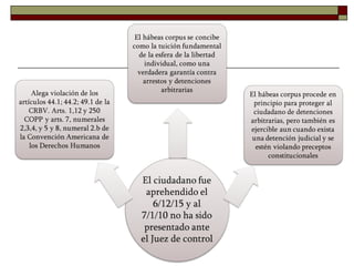 Tema 6. Láminas mecanismos de protección ddhh (modificado)