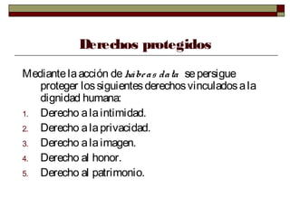 Derechos protegidos
Mediantelaacción dehábeas data sepersigue
proteger lossiguientesderechosvinculadosala
dignidad humana:
1. Derecho alaintimidad.
2. Derecho alaprivacidad.
3. Derecho alaimagen.
4. Derecho al honor.
5. Derecho al patrimonio.
 