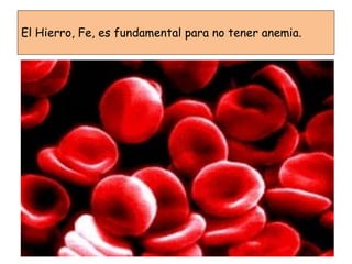El Hierro, Fe, es fundamental para no tener anemia.
 