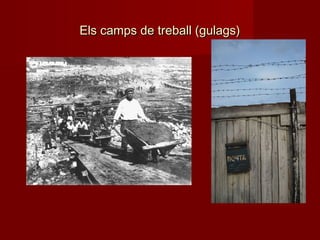 Els camps de treball (gulags)Els camps de treball (gulags)
 