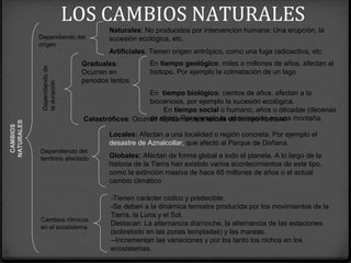Dependiendo del
origenDependiendode
laduración
Dependiendo del
territorio afectado
Cambios rítmicos
en el ecosistema
Naturales: No producidos por intervención humana: Una erupción, la
sucesión ecológica, etc.
Artificiales: Tienen origen antrópico, como una fuga radioactiva, etc
Graduales:
Ocurren en
periodos lentos
Catastróficos: Ocurren rápidamente a escala de tiempo humano
En tiempo geológico, miles o millones de años, afectan al
biotopo. Por ejemplo la colmatación de un lago
En tiempo biológico, cientos de años, afectan a la
biocenosis, por ejemplo la sucesión ecológica.
En tiempo social o humano, años o décadas (decenas
de años). Por ejemplo la urbanización en una montaña.
Locales: Afectan a una localidad o región concreta. Por ejemplo el
desastre de Aznalcollar, que afectó al Parque de Doñana.
Globales: Afectan de forma global a todo el planeta. A lo largo de la
historia de la Tierra han existido varios acontecimientos de este tipo,
como la extinción masiva de hace 65 millones de años o el actual
cambio climático
-Tienen carácter cíclico y predecible.
-Se deben a la dinámica terrestre producida por los movimientos de la
Tierra, la Luna y el Sol.
Destacan: La alternancia día/noche, la alternancia de las estaciones
(sobretodo en las zonas templadas) y las mareas.
--Incrementan las variaciones y por los tanto los nichos en los
ecosistemas.
LOS CAMBIOS NATURALESCAMBIOS
NATURALES
 