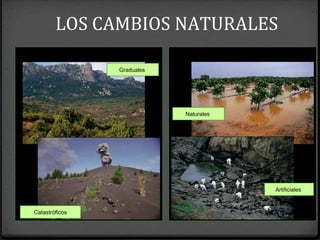 Dependiendo de su duración: Dependiendo del origen del cambio:
Graduales
Naturales
Artificiales
Catastróficos
LOS CAMBIOS NATURALES
 