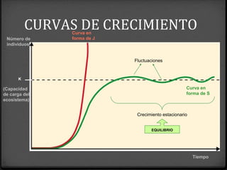 Número de
individuos
Tiempo
Curva en
forma de J
Curva en
forma de S
(Capacidad
de carga del
ecosistema)
K
Fluctuaciones
Crecimiento estacionario
EQUILIBRIO
CURVAS DE CRECIMIENTO
 