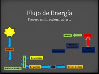 Flujo de Energía
Proceso unidireccional abierto
SOL
PRODUCTORES
E. luminosa
E. química
TIERRA
fotosíntesis
MO Niveles tróficos
Pierde
Respiración
Procesos
metabólicos
Crecimiento
CALORMEDIO
 