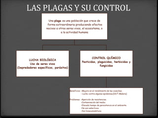 LAS PLAGAS Y SU CONTROL
 