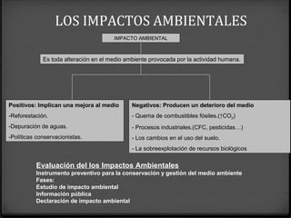 Es toda alteración en el medio ambiente provocada por la actividad humana.
Positivos: Implican una mejora al medio
-Reforestación.
-Depuración de aguas.
-Políticas conservacionistas.
Negativos: Producen un deterioro del medio
- Quema de combustibles fósiles.(↑CO2)
- Procesos industriales.(CFC, pesticidas…)
- Los cambios en el uso del suelo.
- La sobreexplotación de recursos biológicos
IMPACTO AMBIENTAL
LOS IMPACTOS AMBIENTALES
Evaluación del los Impactos Ambientales
Instrumento preventivo para la conservación y gestión del medio ambiente
Fases:
Estudio de impacto ambiental
Información pública
Declaración de impacto ambiental
 