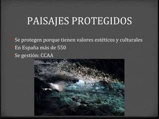 PAISAJES PROTEGIDOS
0 Se protegen porque tienen valores estéticos y culturales
0 En España más de 550
0 Se gestión: CCAA
 