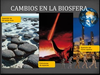 Aparición de
los seres vivos
Extinciones
de especies
Aparición del
Homo sapiens
CAMBIOS EN LA BIOSFERA
 