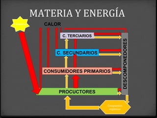 MATERIA Y ENERGÍA
PROCUCTORES
CONSUMIDORES PRIMARIOS
C. SECUNDARIOS
C. TERCIARIOS
DESCOMPONEDORES
Compuestos
orgánicos
E.Luminosa CALOR
 