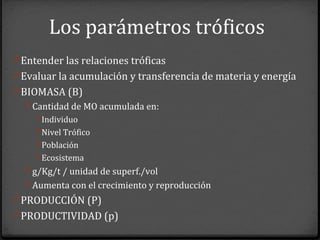 Los parámetros tróficos
0 Entender las relaciones tróficas
0 Evaluar la acumulación y transferencia de materia y energía
0 BIOMASA (B)
0 Cantidad de MO acumulada en:
0 Individuo
0 Nivel Trófico
0 Población
0 Ecosistema
0 g/Kg/t / unidad de superf./vol
0 Aumenta con el crecimiento y reproducción
0 PRODUCCIÓN (P)
0 PRODUCTIVIDAD (p)
 